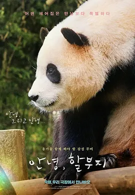 My Dearest Fu Bao