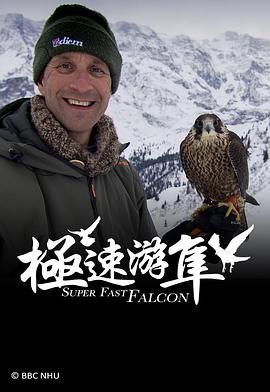 极速游隼