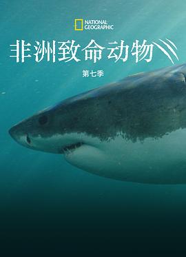 非洲致命动物 第七季
