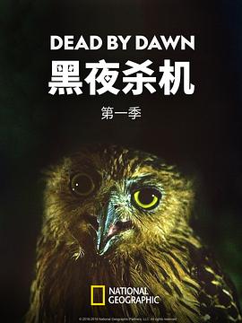 黑夜杀机 第一季