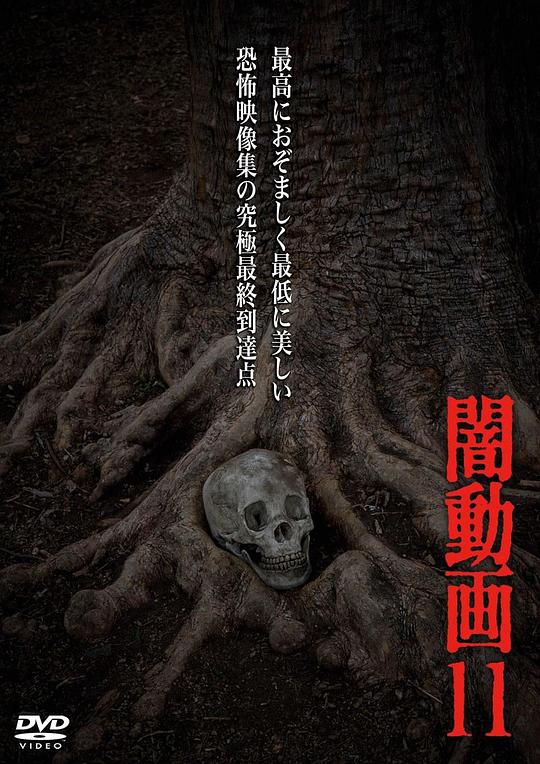黑暗视频11
