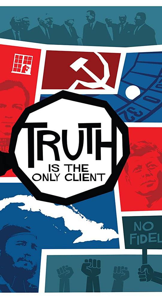 Truth is the Only Client: The Official Investigation of the Murder of John F. Kennedy