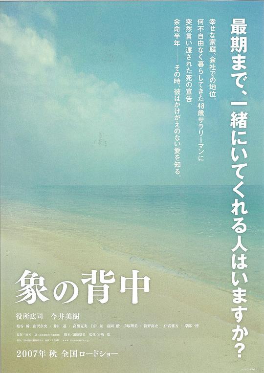 象的背影